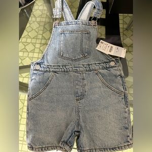 Zara shorts overall